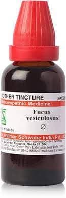 Dr Willmar Schwabe India Fucus Vesiculosus Q 30ML (Pack of 2