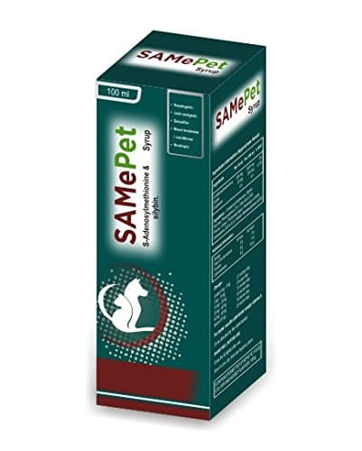 CORISE HEALTH C SAMePet Syp.
