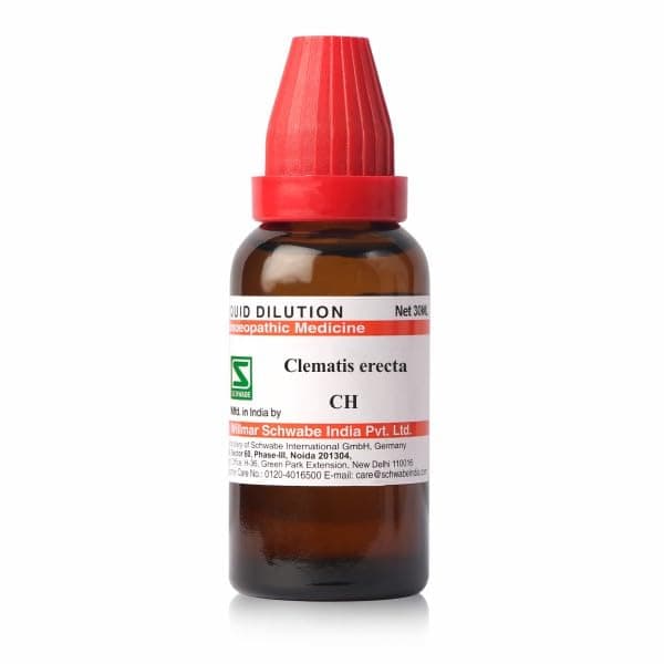 Dr.Willmar Schwabe Clematis Erecta 200 CH Dilution (30 ml)