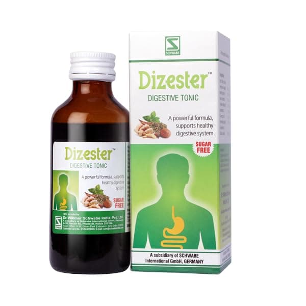 Dr.Willmar Schwabe Dizester 100 Ml