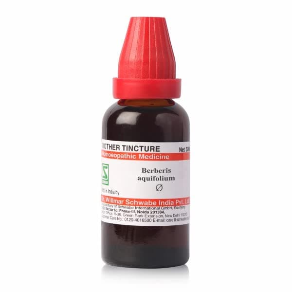 Dr.Willmar Schwabe Berberis Aquifolium Q - 100ML - (Pack of 1) Mother Tincture