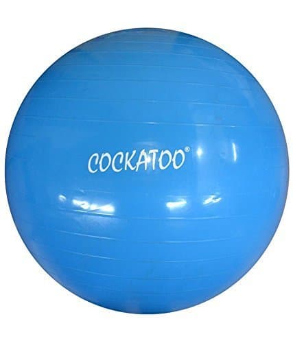 Cockatoo GB-75 Anti-Burst Gym Ball, 75cm