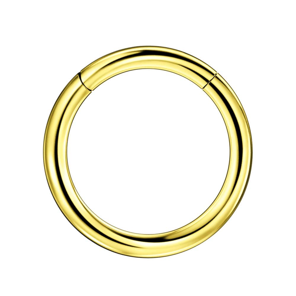 FANSING 316l Surgical Steel Hinged Nose Rings Hoop 20G 18G 16G 14G 12G 10G, Diameter 5mm to 16mm, Color Gold - Rose Gold - Silver - Black - Rainbow