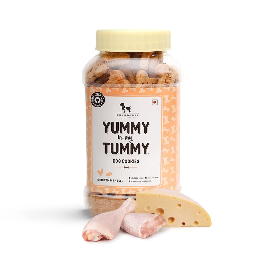 Heads Up For Tails Yummy in My Tummy Chicken & Cheese Dog Biscuits - 800g Each - Pack of 2