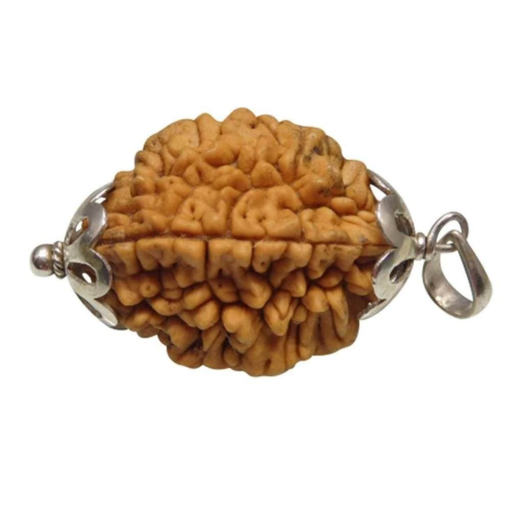 Arihant Gems and Jewels 2 Mukhi Indian Rudraksha with 925 Silver Pendant | Natural & Certified | Astrological Two-Faced Rudraksha for Positive Energy | Unisex for Men & Women