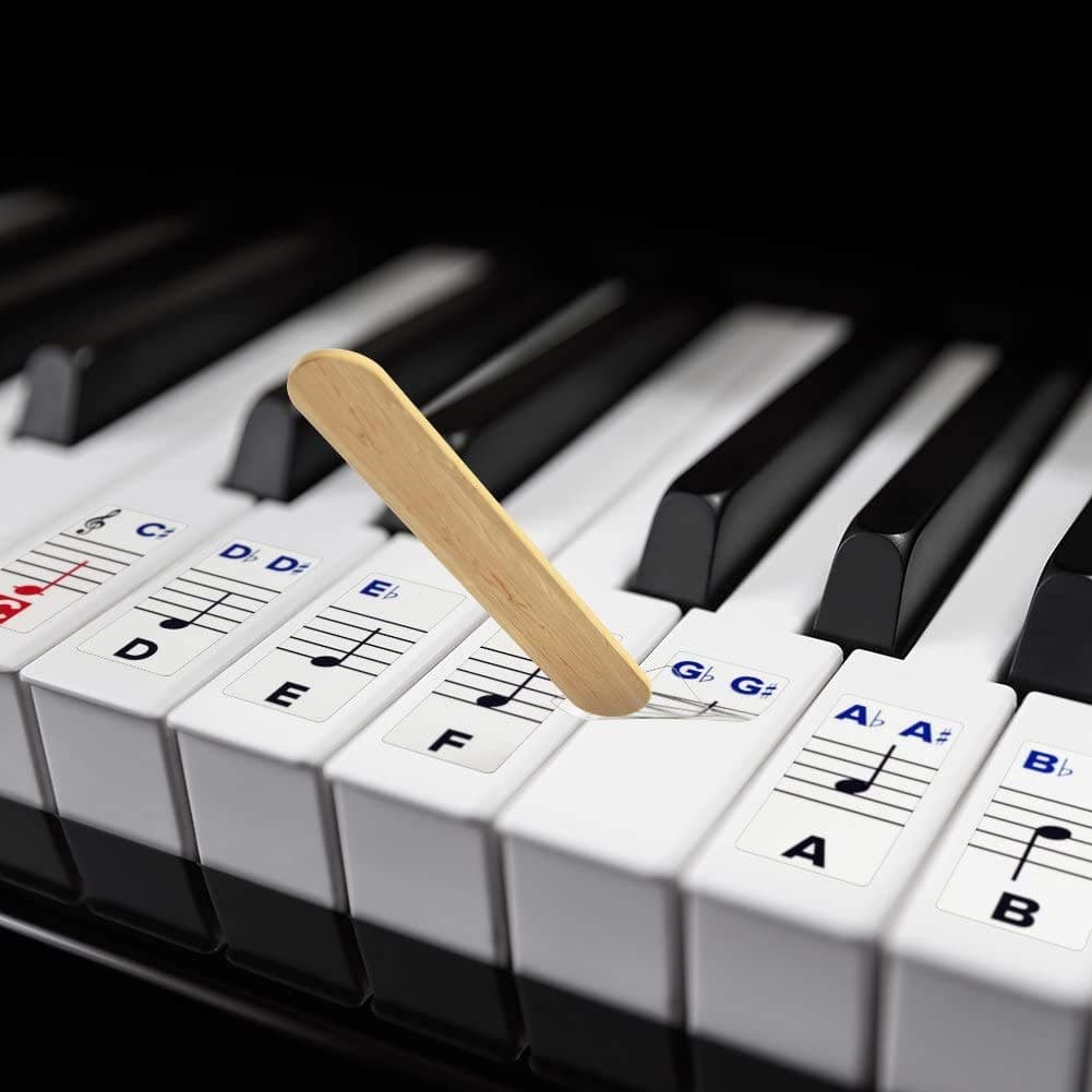 PalaP Extra Large Piano Removable Sticker Labels for Large Key Keyboards and Piano!