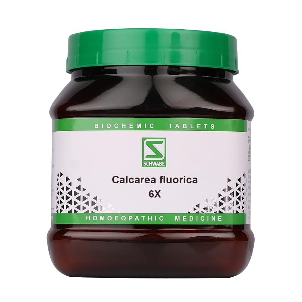 Dr.Willmar Schwabe Calcarea Fluorica 6X 550Gm