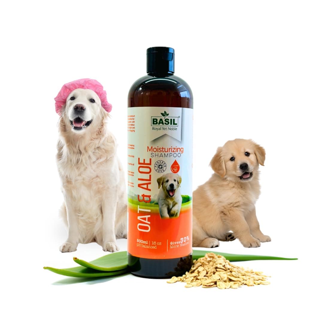 Basil Oats & Aloe Moisturising Shampoo, 500 ml