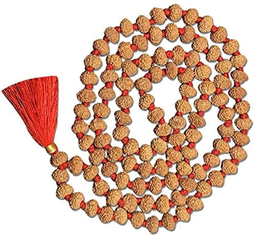 Mautik Sadiwala 10 Mukhi Rudraksha Mala,Certified Energized 10 Ten Face Rudraksha Mala 108+1=109 Beads Rudraksha Mala (10 mukhi rudraksha mala)