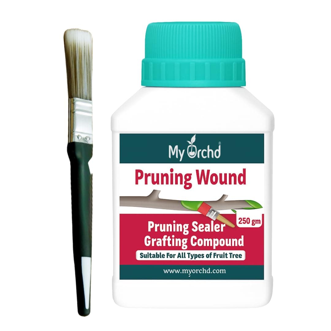 Tree Pruning Sealer – Fast-Drying Waterproof Wound Paste with Brush | Ideal for Bonsai & Fruit Trees | 250g Jar | Protects Cuts & Heals Bark Wounds