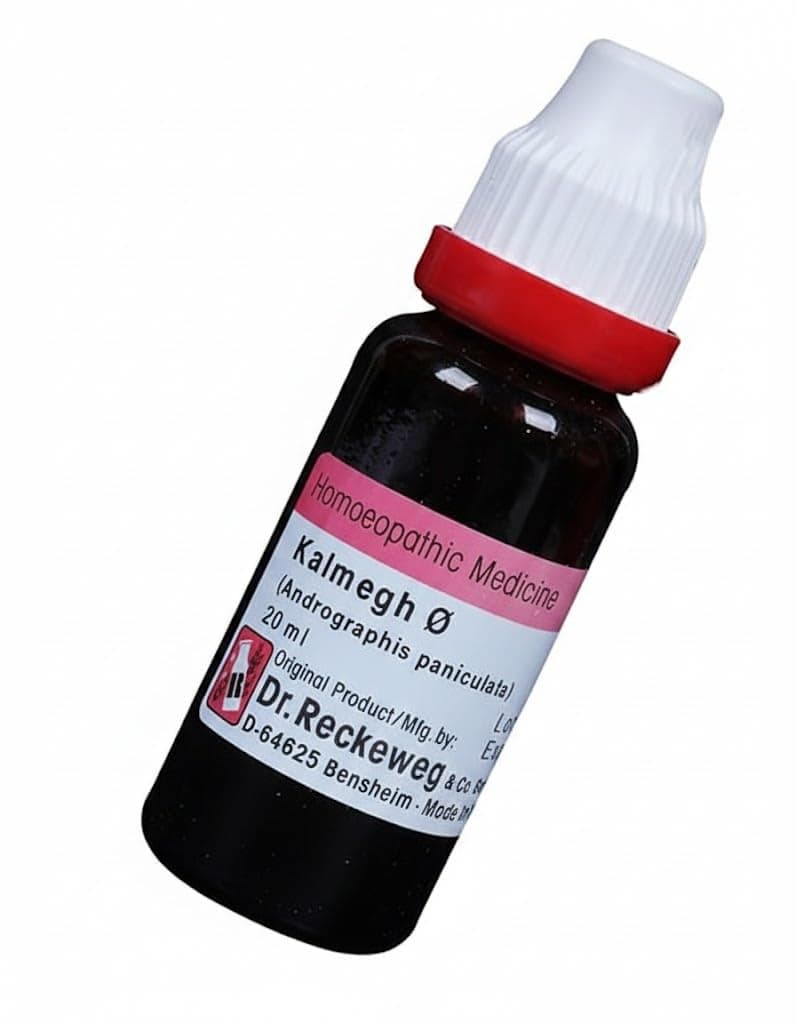 Dr Reckeweg Kalmegh Mother Tincture -Andrographis Paniculata Q (20ml) - Set of 1 Bottle