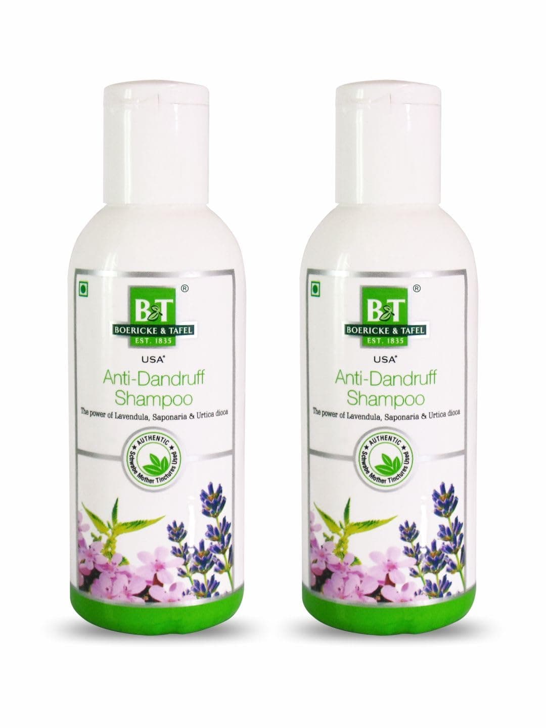 Boericke & Tafel India Anti-Dandruff Shampoo, 150Ml (Pack of 2)