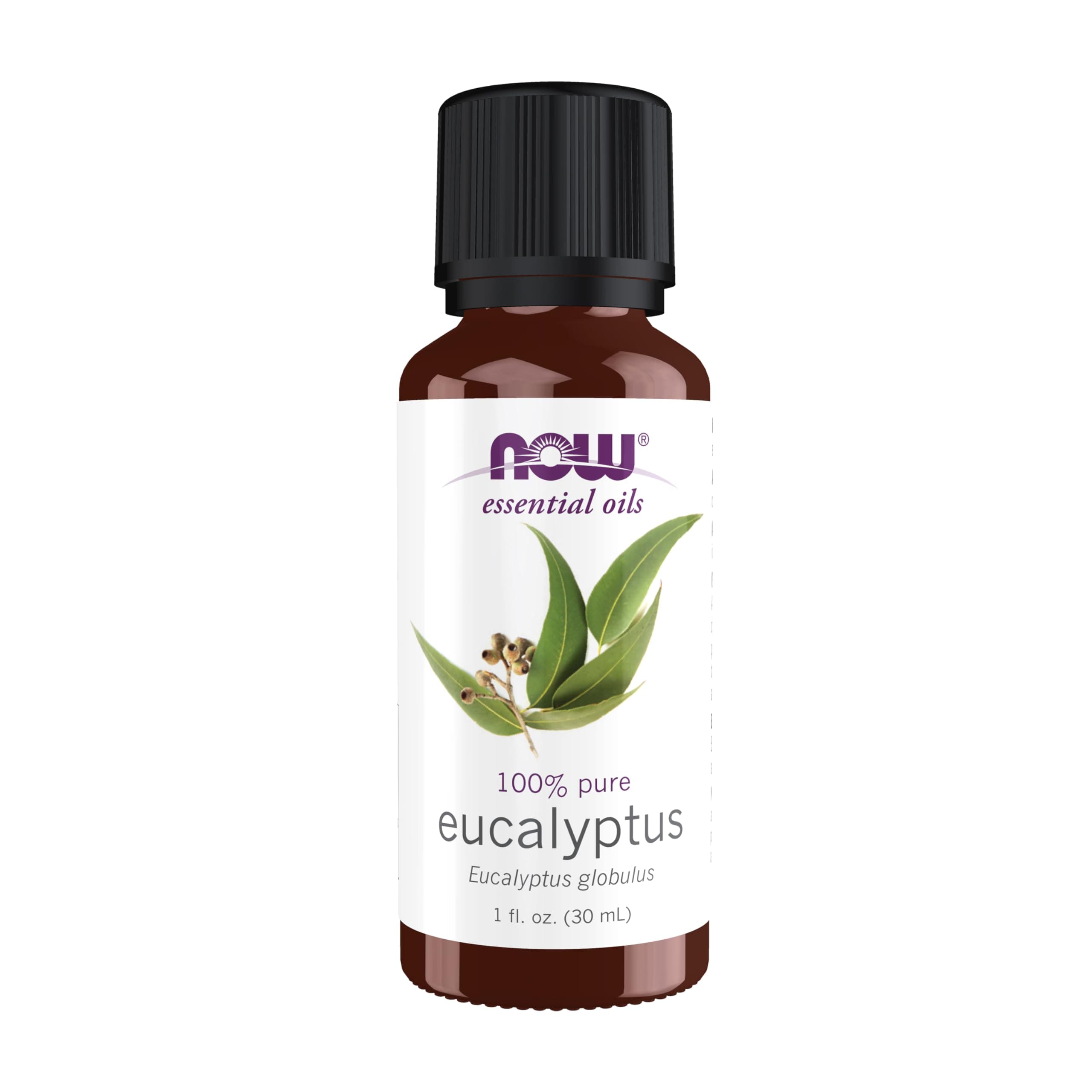 Now Foods Eucalyptus Oil, 1-Ounce