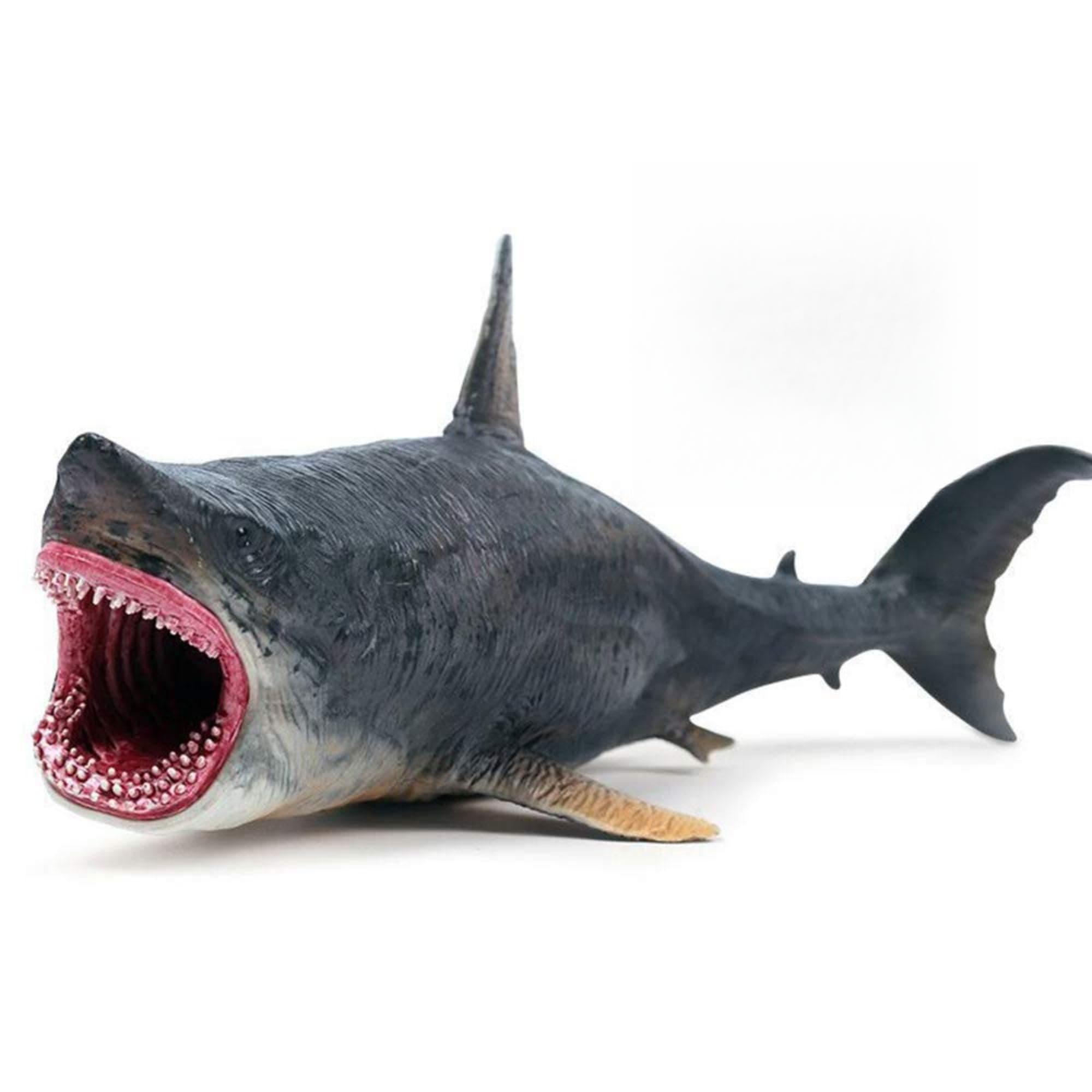 MALLEXO Realistic Big Size Ocean Shark Animal Toy for Kids 3+| Attractive Underwater Fish Animals Toys Action Figure for Boys and Girls Birthday Gift for Children Education & Table Top Decoration Item