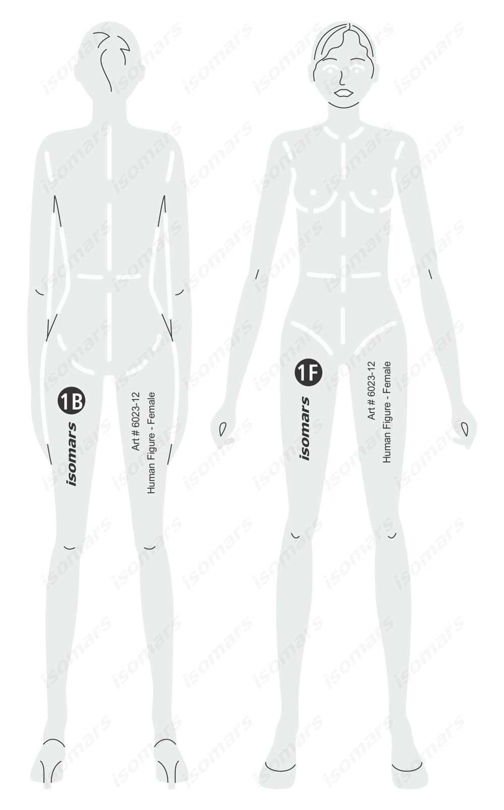 Isomars Female Human Figure Drafting & Design Template Stencil 12 Inch