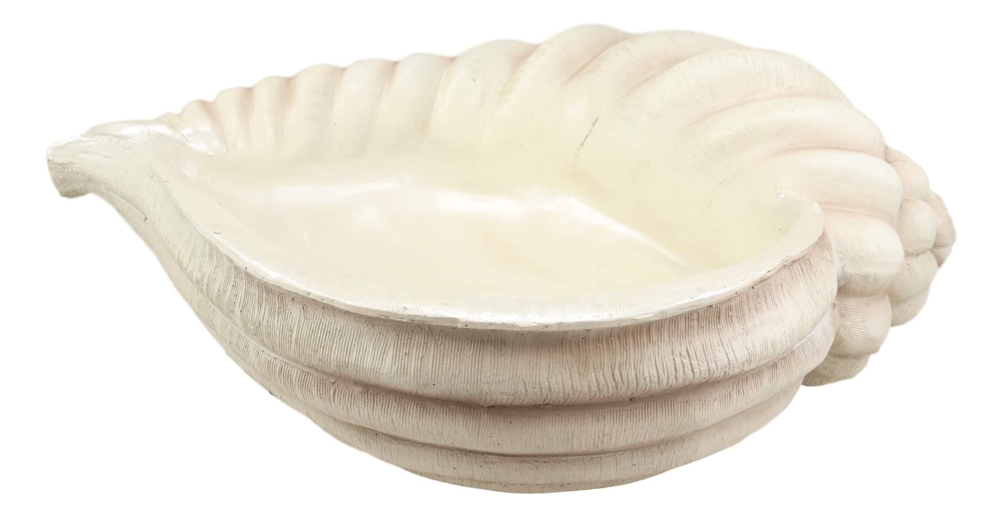 Ebros 16" Long Nautical Ocean Giant Sea Tun Shell Display Container Dish Bowl Statue For Fruits Jewelry Succulents Potpourri Balls Marine Seashell Decorative Accent