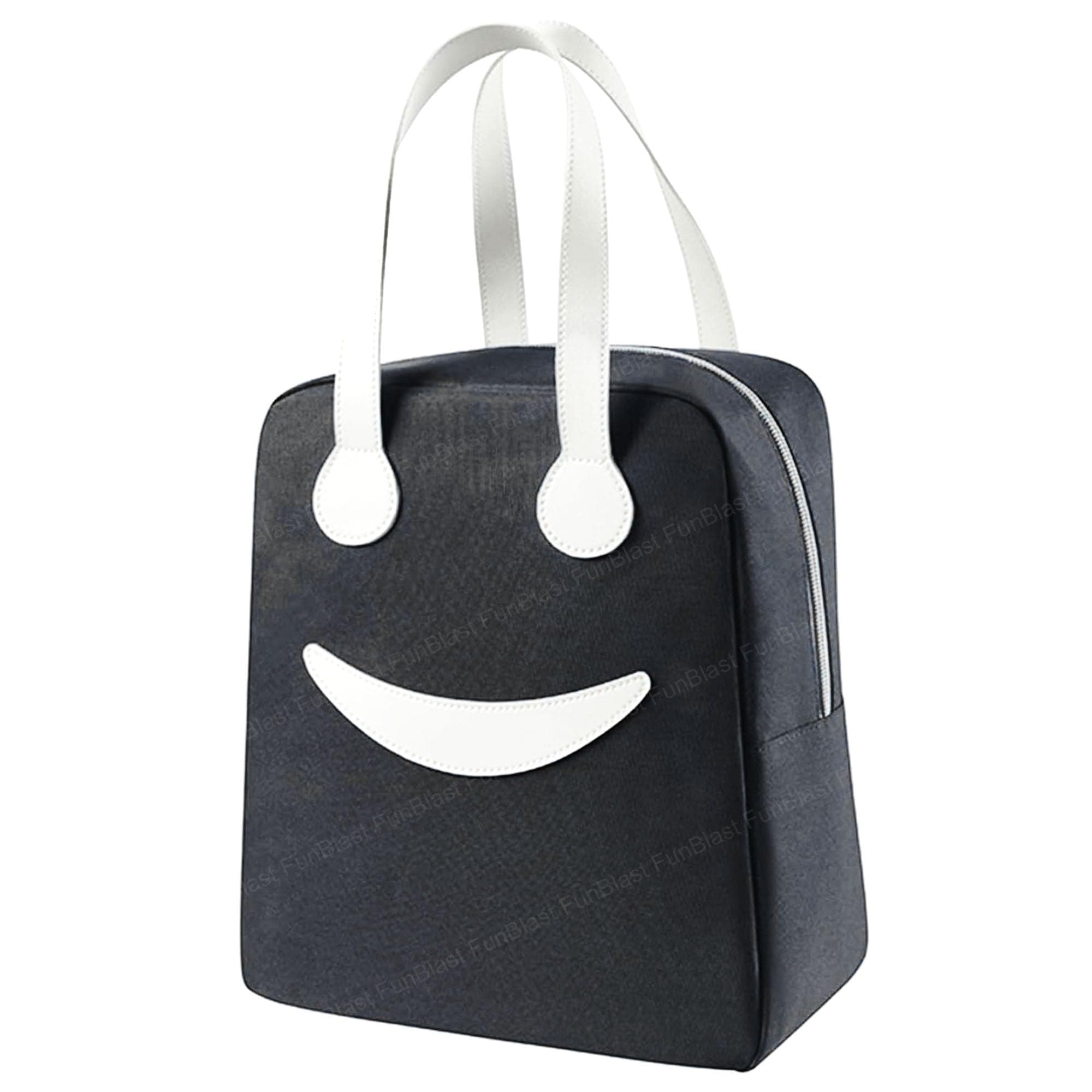 FunBlast Lunch Bag – Insulated Travel Lunch Bag for Office, Multi-Purpose Lunch Box Carrying Bag for Women/Men/Tiffin/Storage Bag for Lunch Box, Tiffin Bag