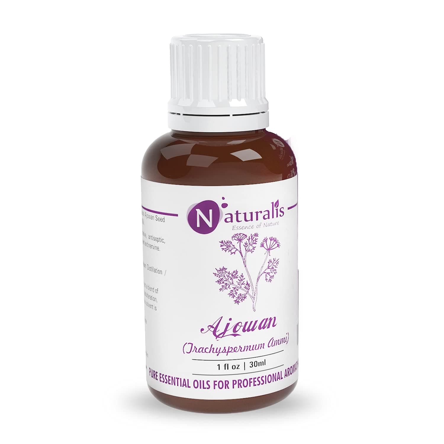 Naturalis Essence of Nature Ajwain/Ajowan Essential Oil (Trachyspermum ammi) Natural Therapeutic Grade Steam Distilled - 30ml