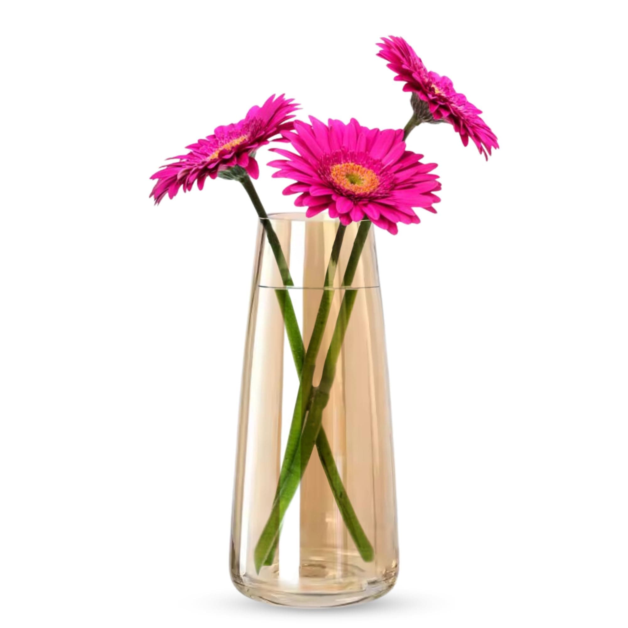 Clovefry Decorative Glass Vase for Flowers and Plants - Home Décor for Office, Living Room, Table - Modern Luster Crystal Amber Vase (Approx 9 Inches Height)