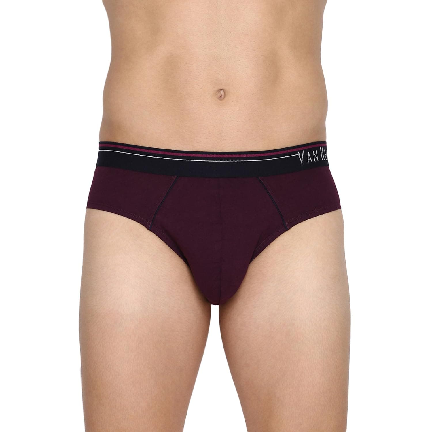 Van Heusen Men's Cotton Antibacterial Brief(Pack of 2) (10003_Denim Mel, Winter Bloom_Large_blue_L)