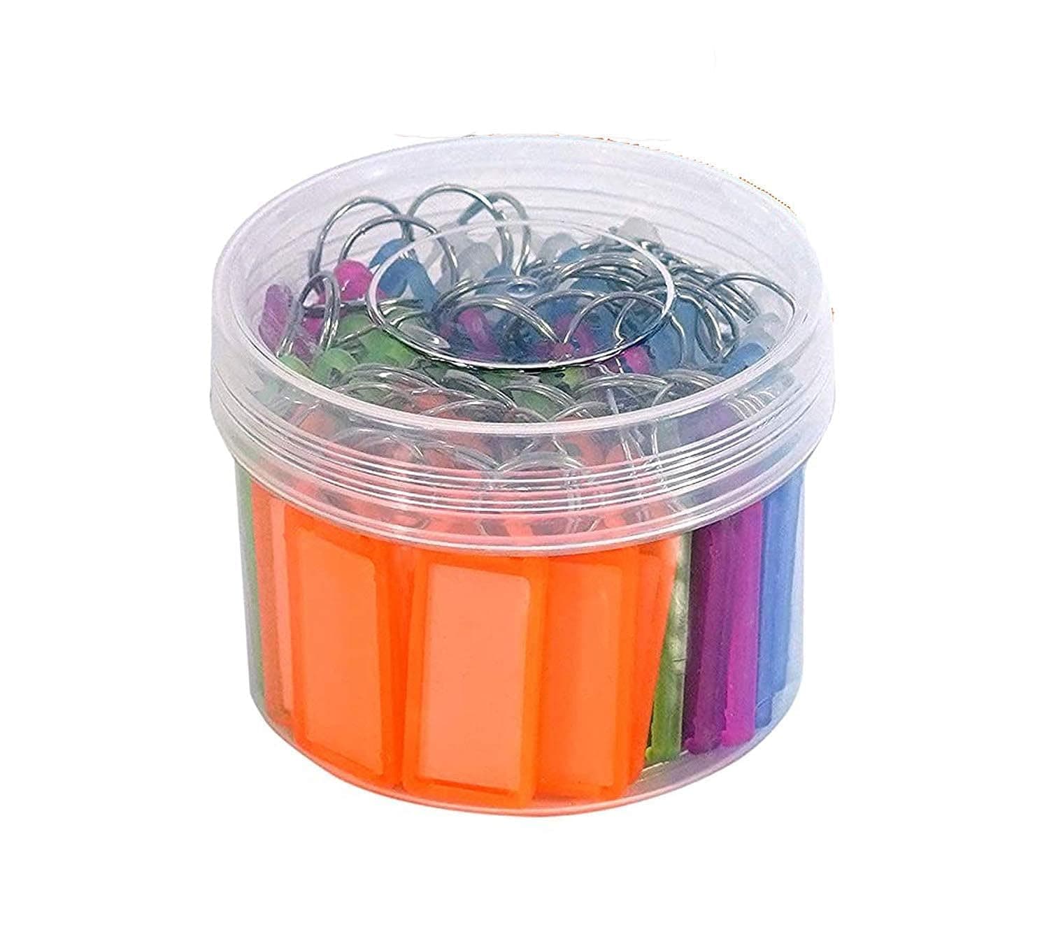 Eis Multicolor Keyring & Keychain with Name Tag Labels Plastic Multicolor Assorted Keychain with Two Side Id Label and Split Ring for Office, Home Key