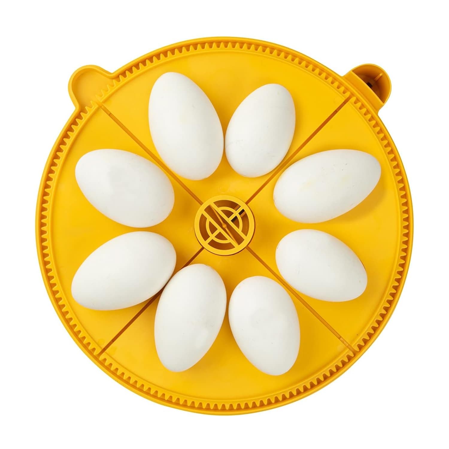 Brinsea Egg Quadrant Insert for Maxi Advance Incubators Fits 8 Eggs, XL