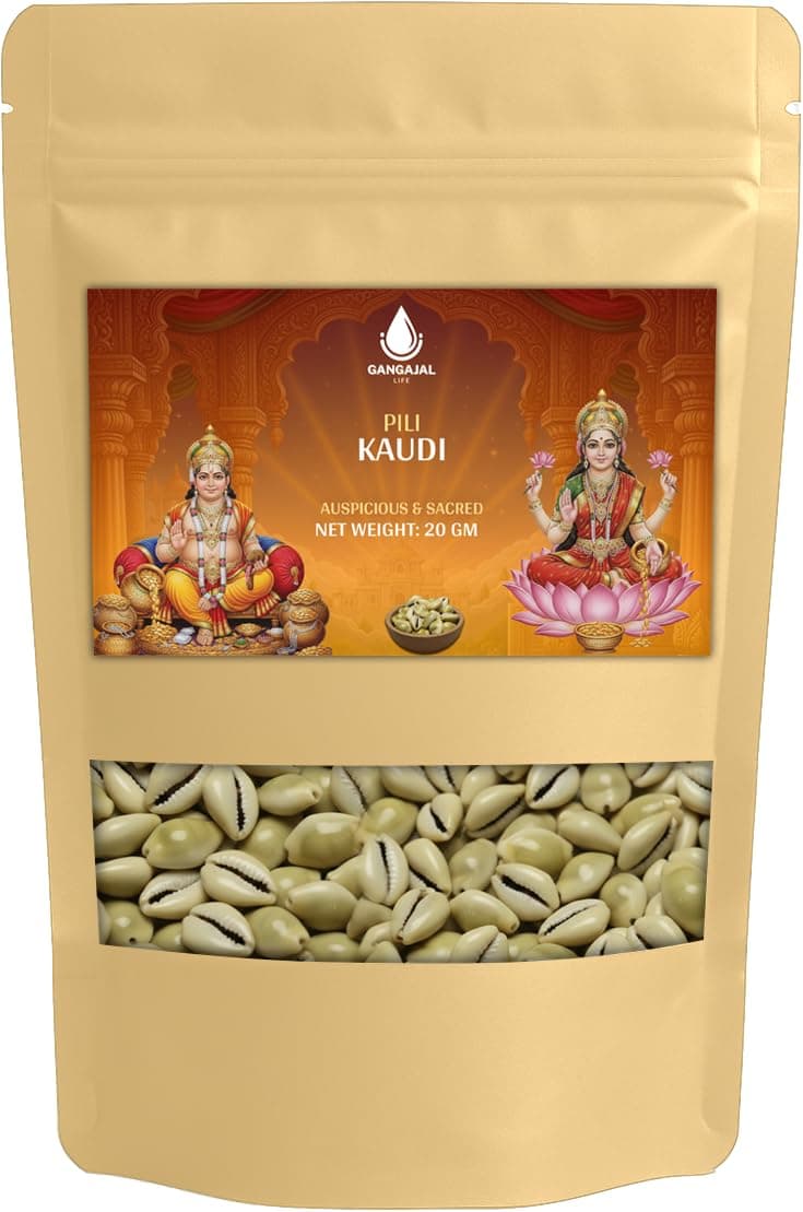 Gangajallife Peeli Kodi Shell Pack of 11 Cowrie Shells - Original PILI Kodi from Ganga - Kaudi Shells for Vastu, Wealth and Prosperity (11 Piece)