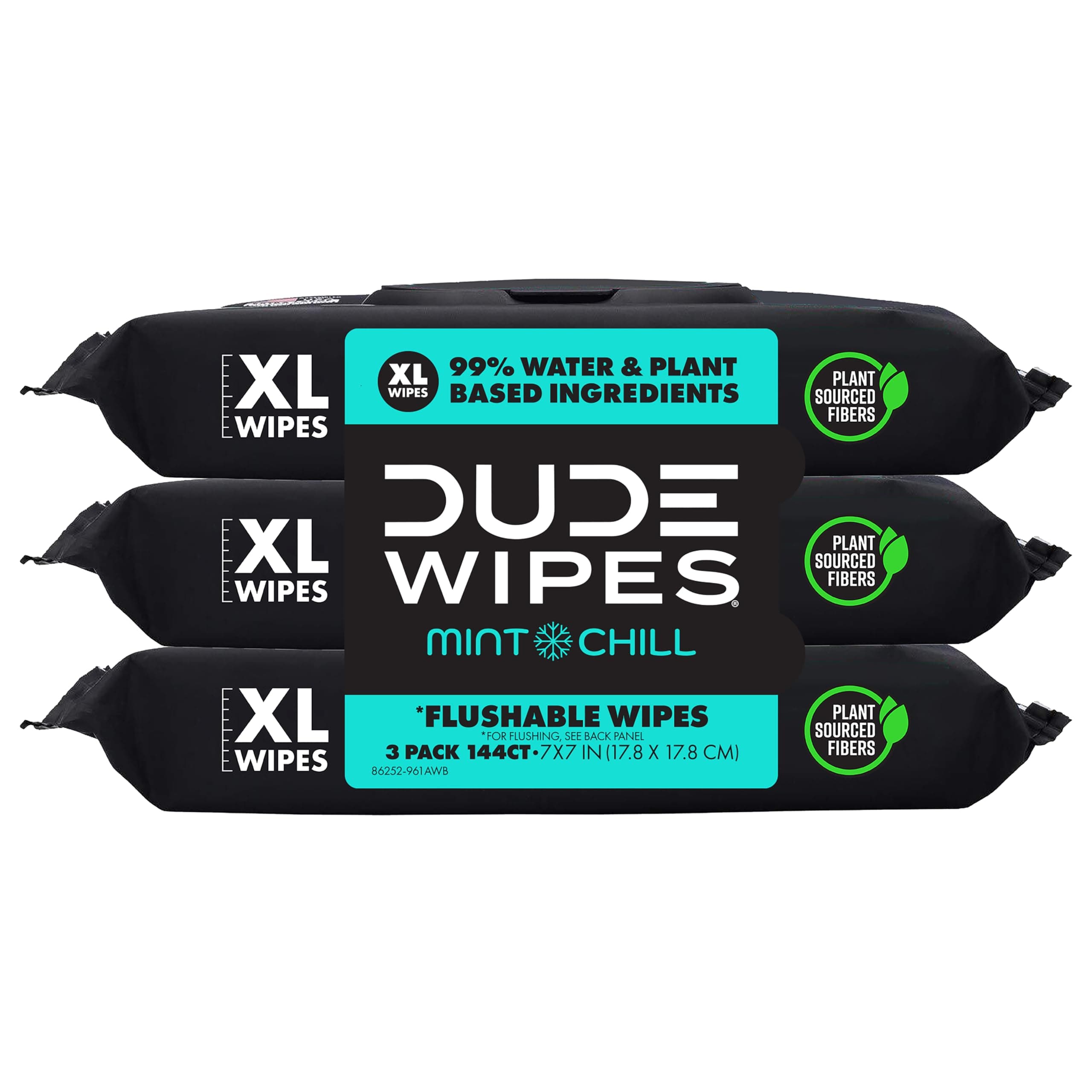 DUDE Wipes Flushable Wet Wipes Dispenser, Mint Chill, 48 Count (Pack of 3) Scented Wet Wipes with Vitamin-E, Aloe, Eucalyptus & Tea Tree Oils for at-Home Use, Septic and Sewer Safe