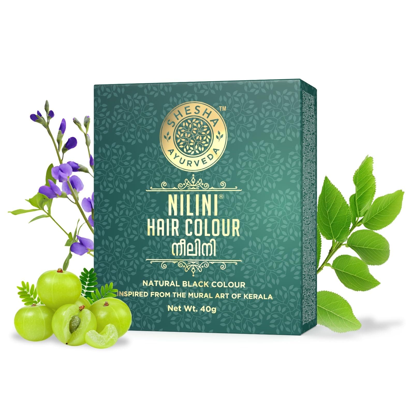 Shesha Ayurveda Black Nilini Hair Colour With Aloevera Gel, Ayurvedic,No PEROXIDE,No PERBORATE,No AMMONIA - (Black, 40G).