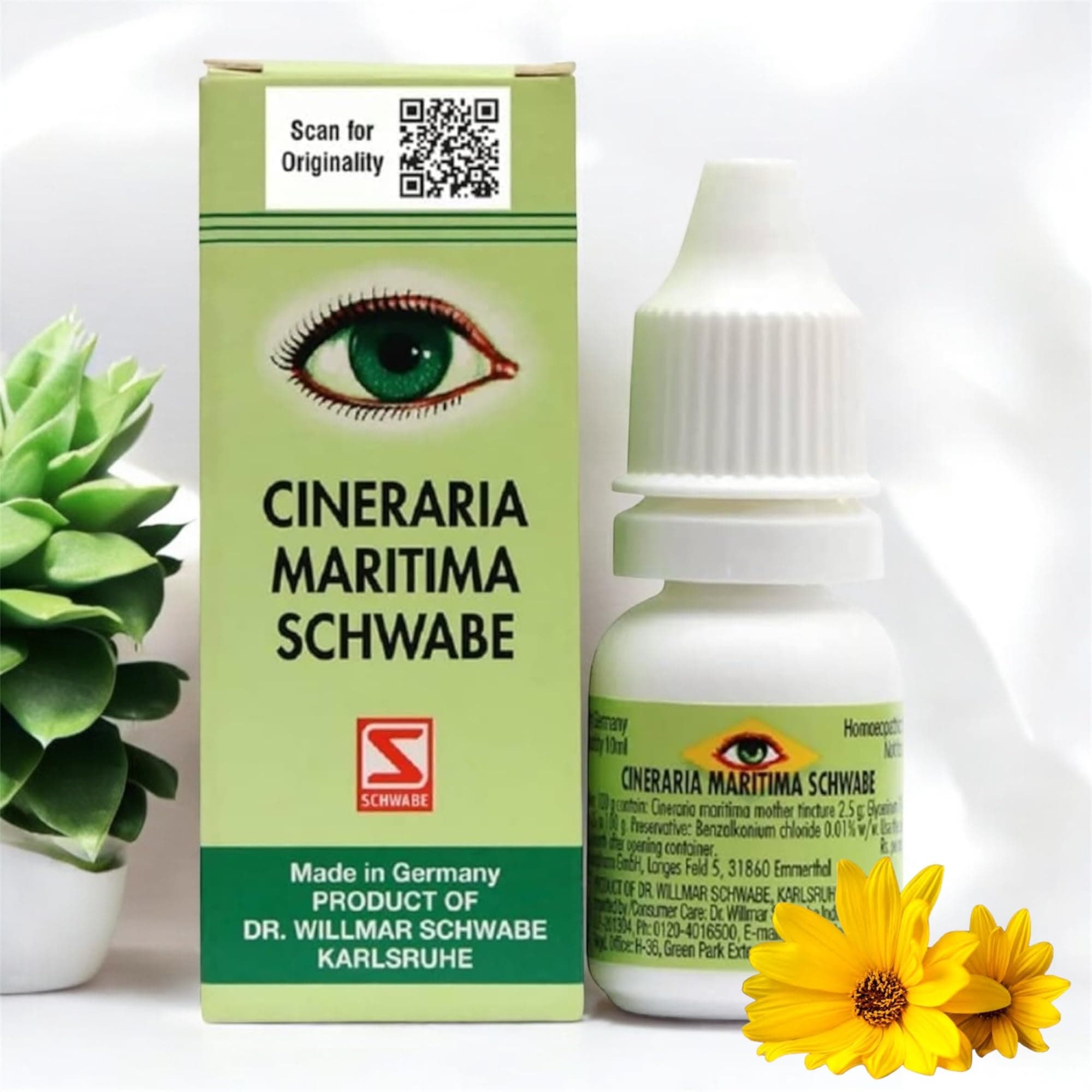 homocos-15 Cineraria Maritima Schwabe Eyee Drops With Alc. NEW IMPROVED FORMULA - 10ml - SET OF 1