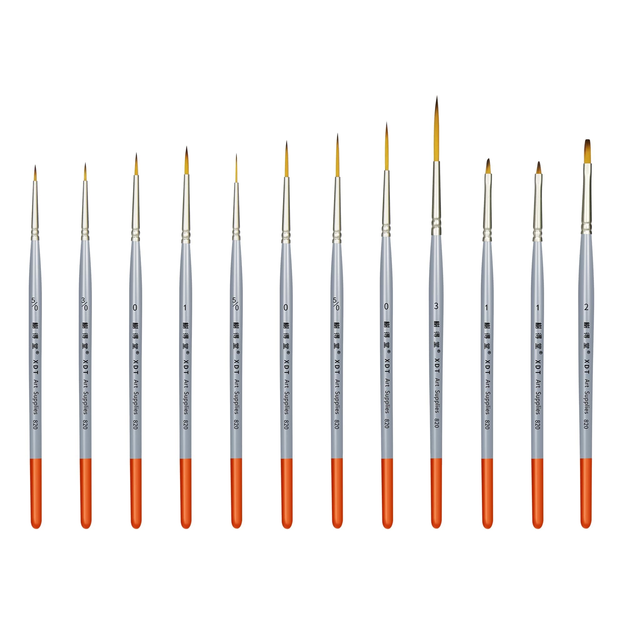 XDT#820 Extra Long & Angular & Micro Tip Art Liner Paint Brushes 12 Pc Set