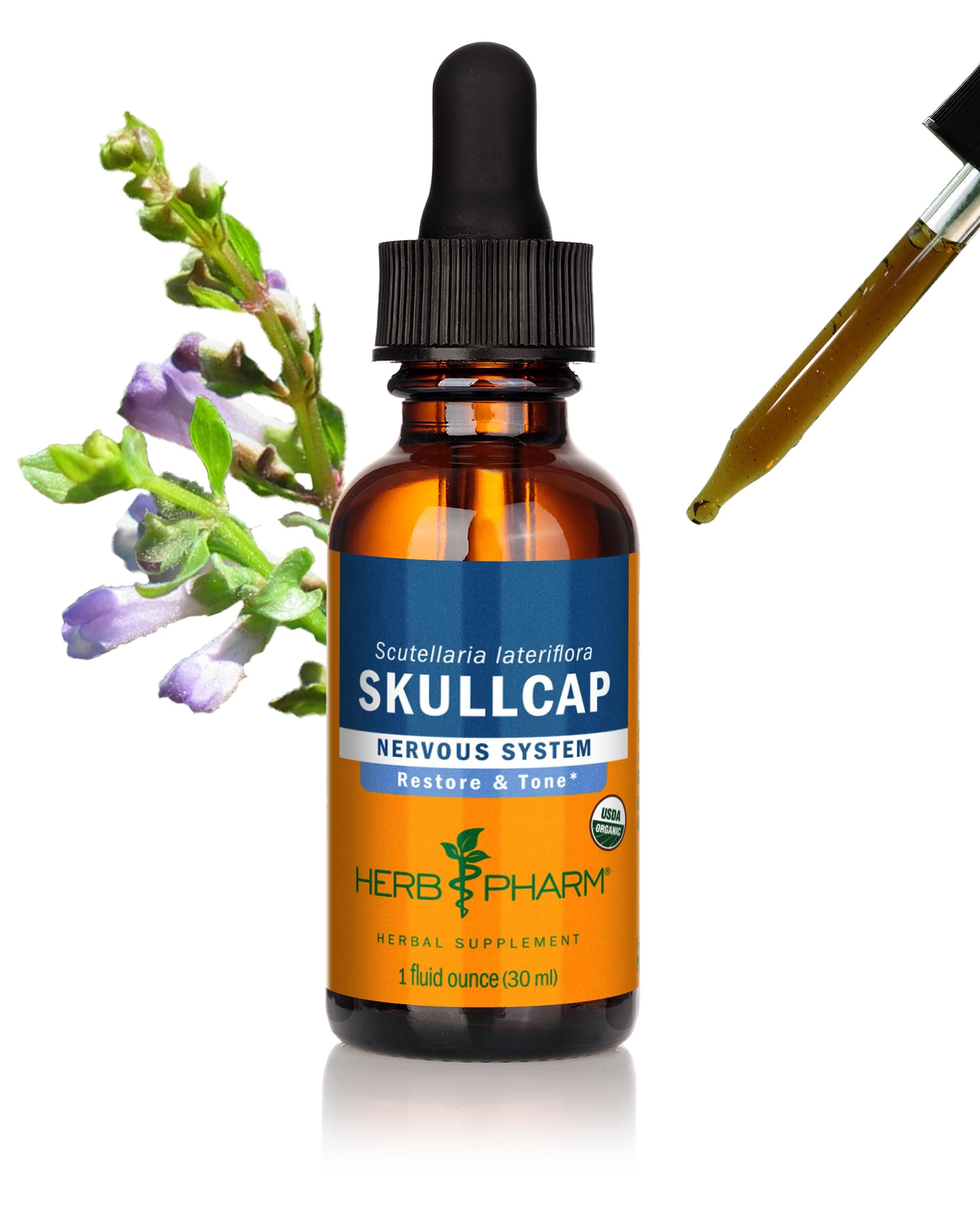 Herb Pharm Skullcap Liquid Herbal Extract - 1 fl oz