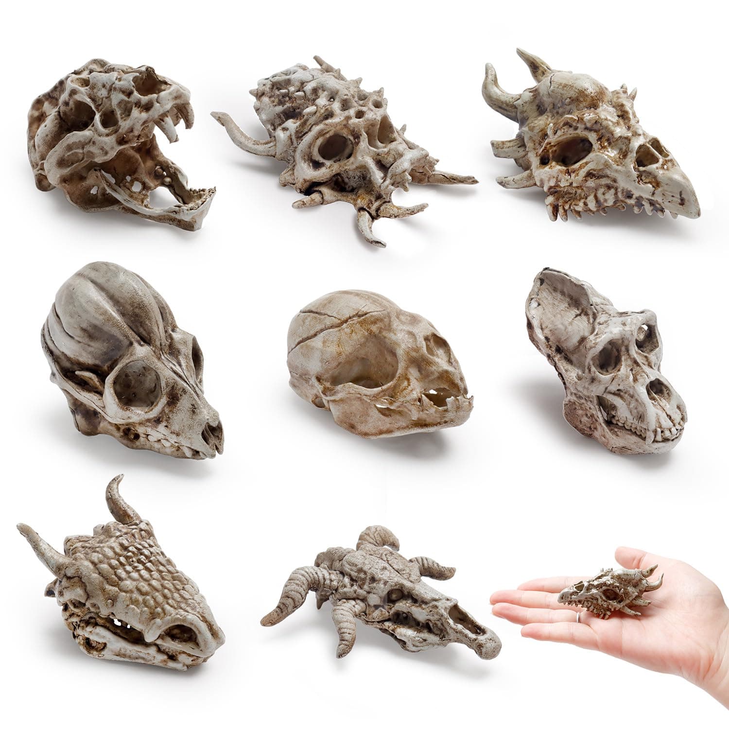 Bbiamsleep 8 Pcs 2.3 Inch Mini Animal Skulls Mini Skulls for Halloween
