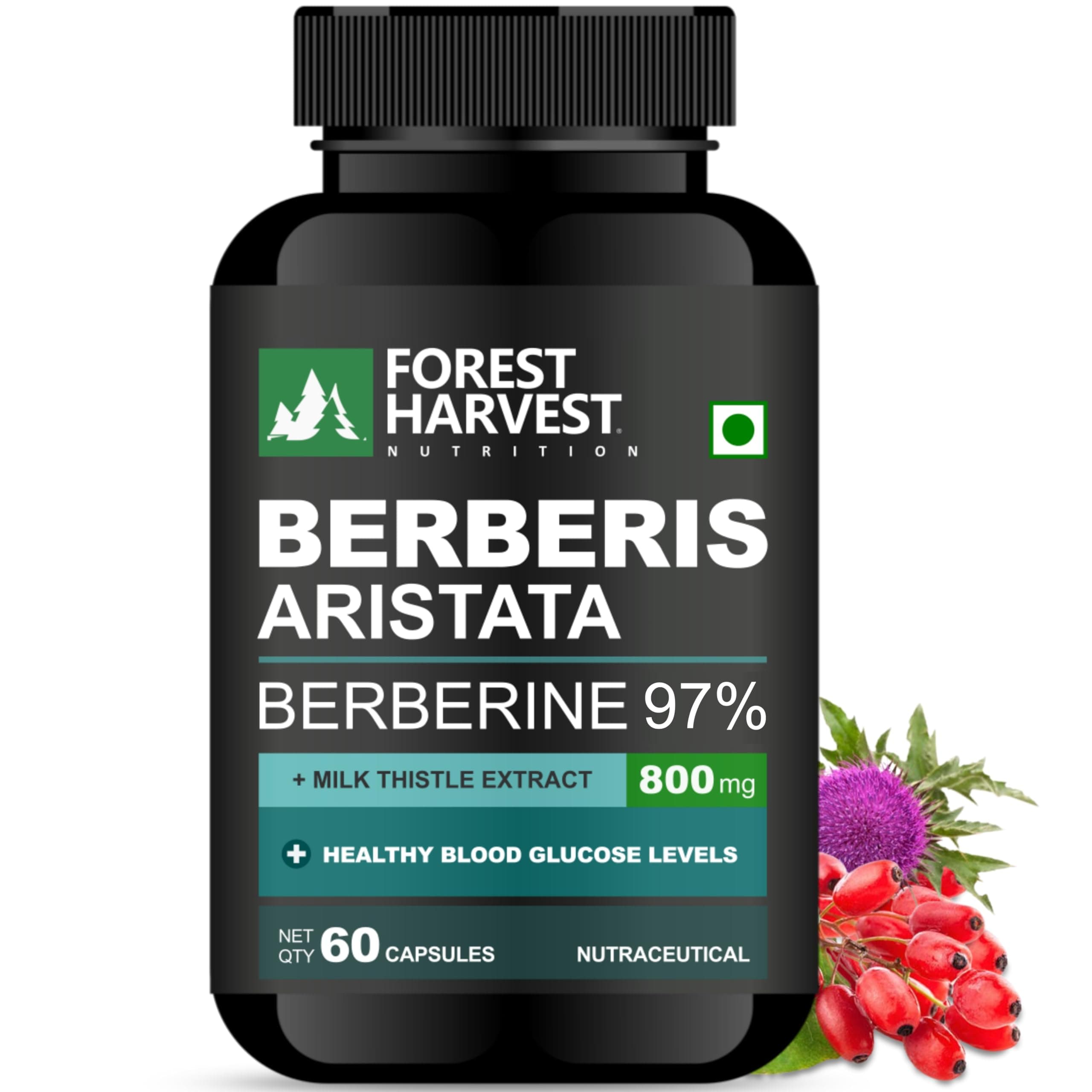 Forest Harvest Berberis Aristata (Berberine 97%) with Milk Thistle | 800mg per Serving | 60 Veg Capsules | WHO-GMP, ISO, HACCP Certified