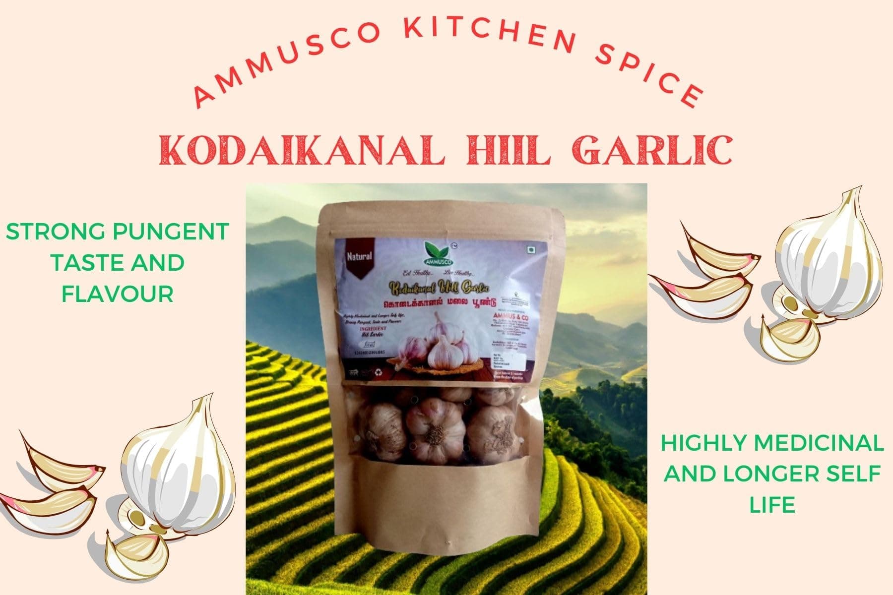 "AMMUSCO Premium Kodaikanal Malai Poondu 250gm | Natural Mountain Garlic/Lehsun | Handpicked from the Misty Hills | Rich Aroma & High Nutritional Value | Farm Fresh".