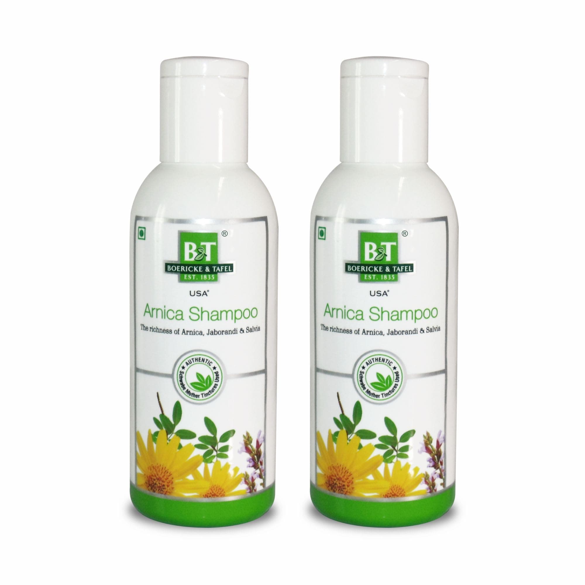 Boericke & Tafel Arnica Shampoo - Pack of 2