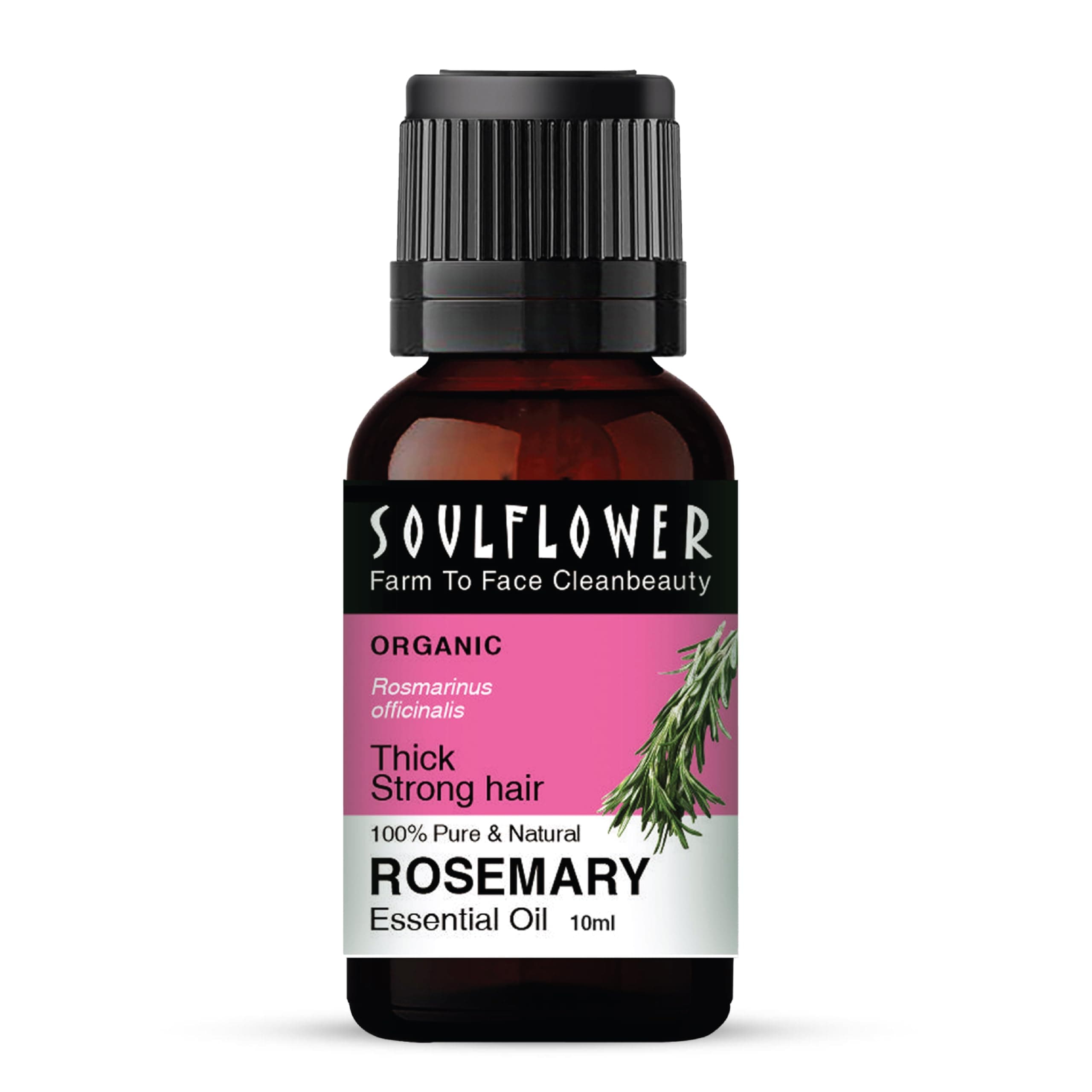 Soulflower Rosemary Essential Oil for Hair Growth, Hair Fall Control, Hair Nourishment & Strengthening, Skin Care | Clinically Proven and Ecocert Certified Organic | 100% Pure & Natural Undiluted | 10ml (Without Dropper)