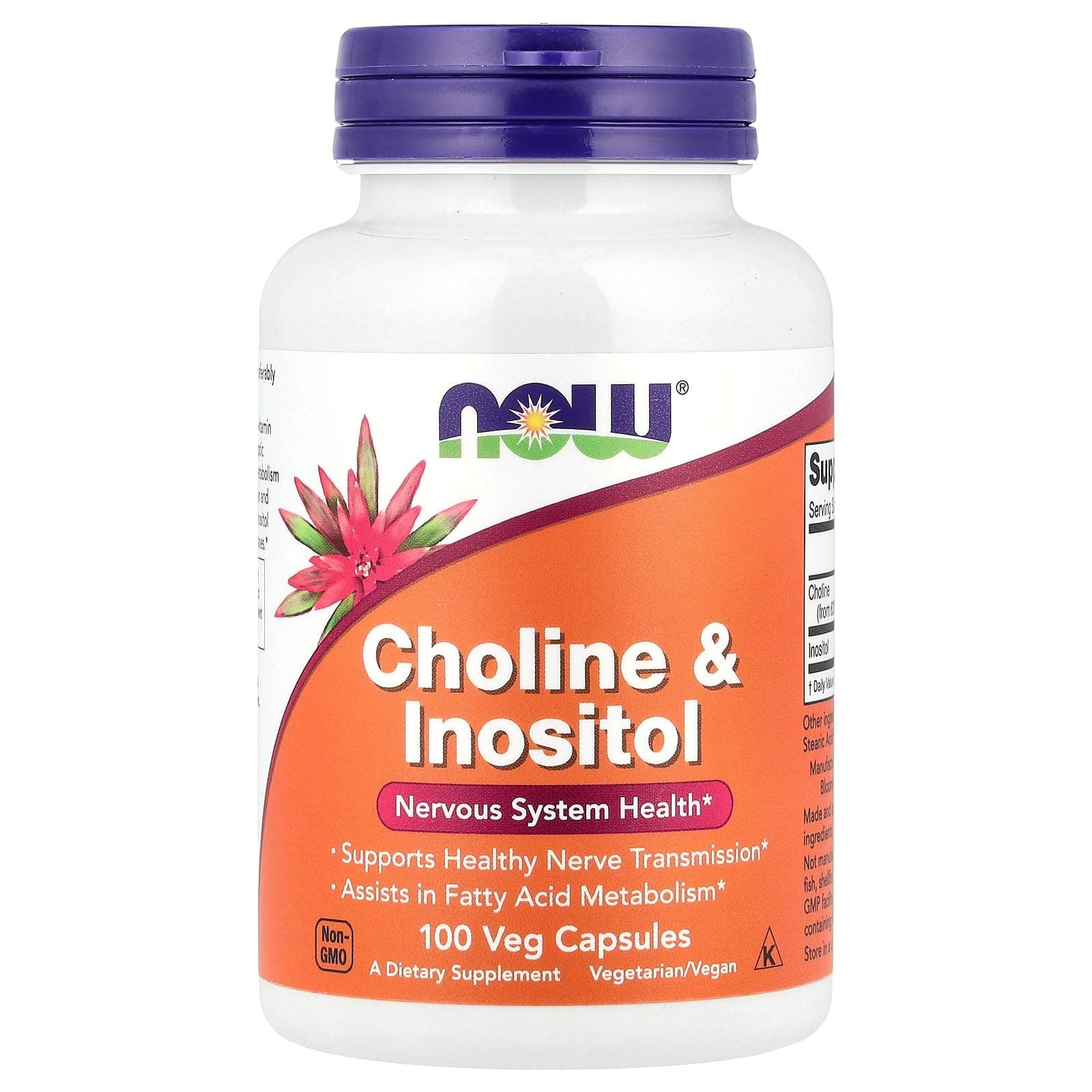 Now Foods Choline and Inositol (500g, 100 Capsules)