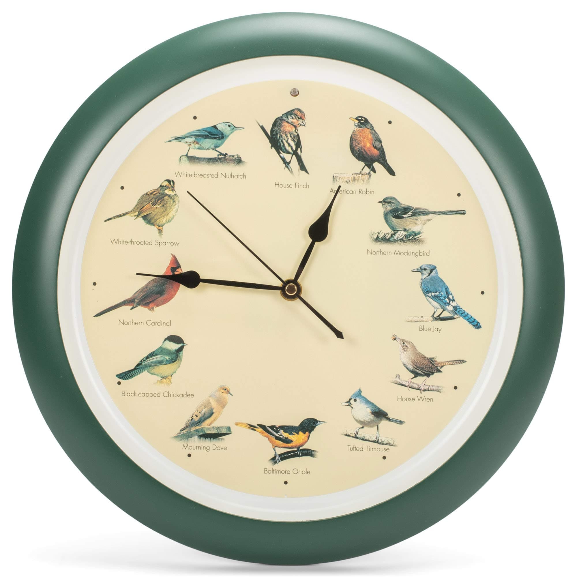 Mark Feldstein and Associates DLB023GR Singing Bird Clock 13 in Green
