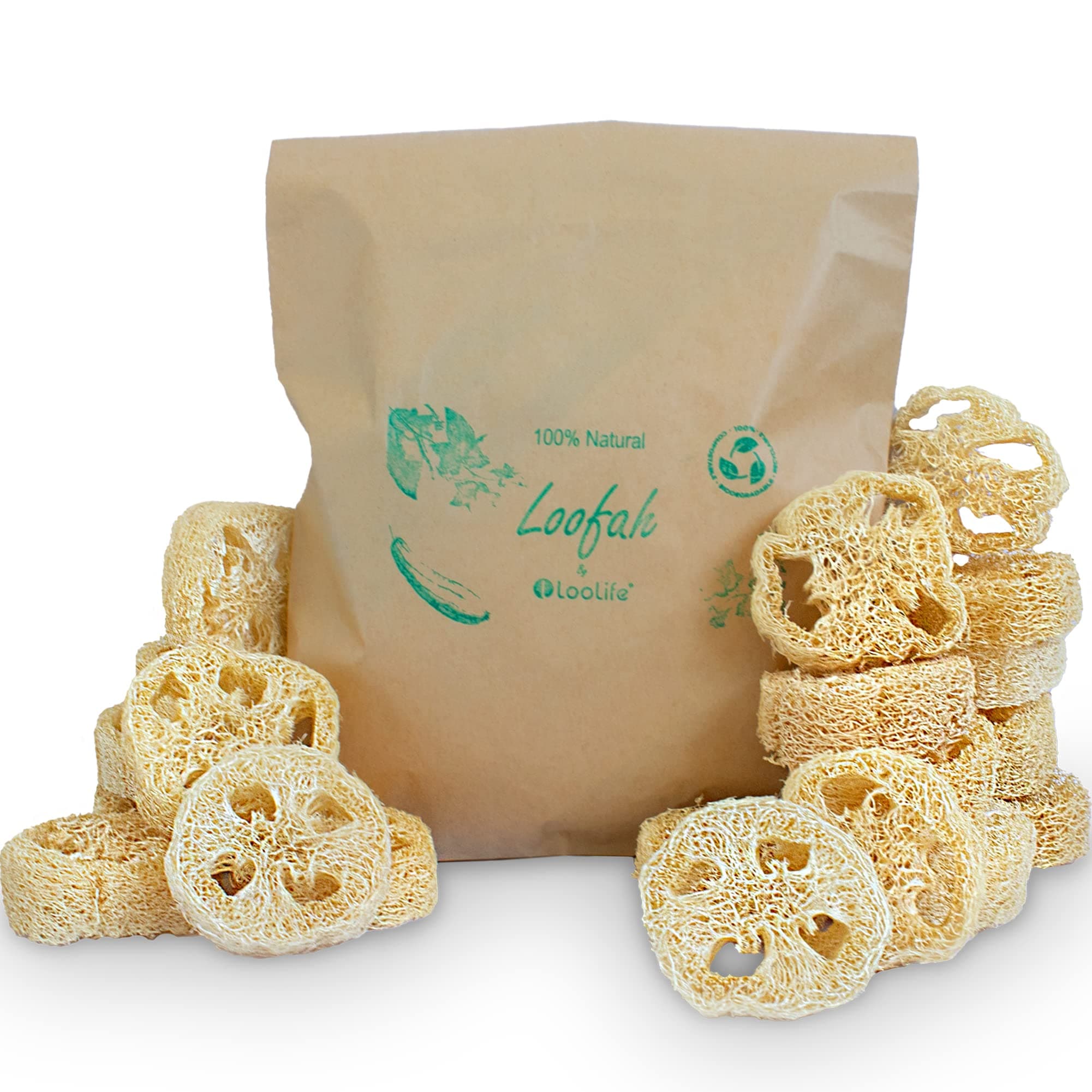 100% Natural Loofah for Soap Making (20 Pack) - Loofah Slices - Loofah Kit - Organic Soap Making Products - Loofah Sponge Natural - Loofah Natural - Loofah Soap