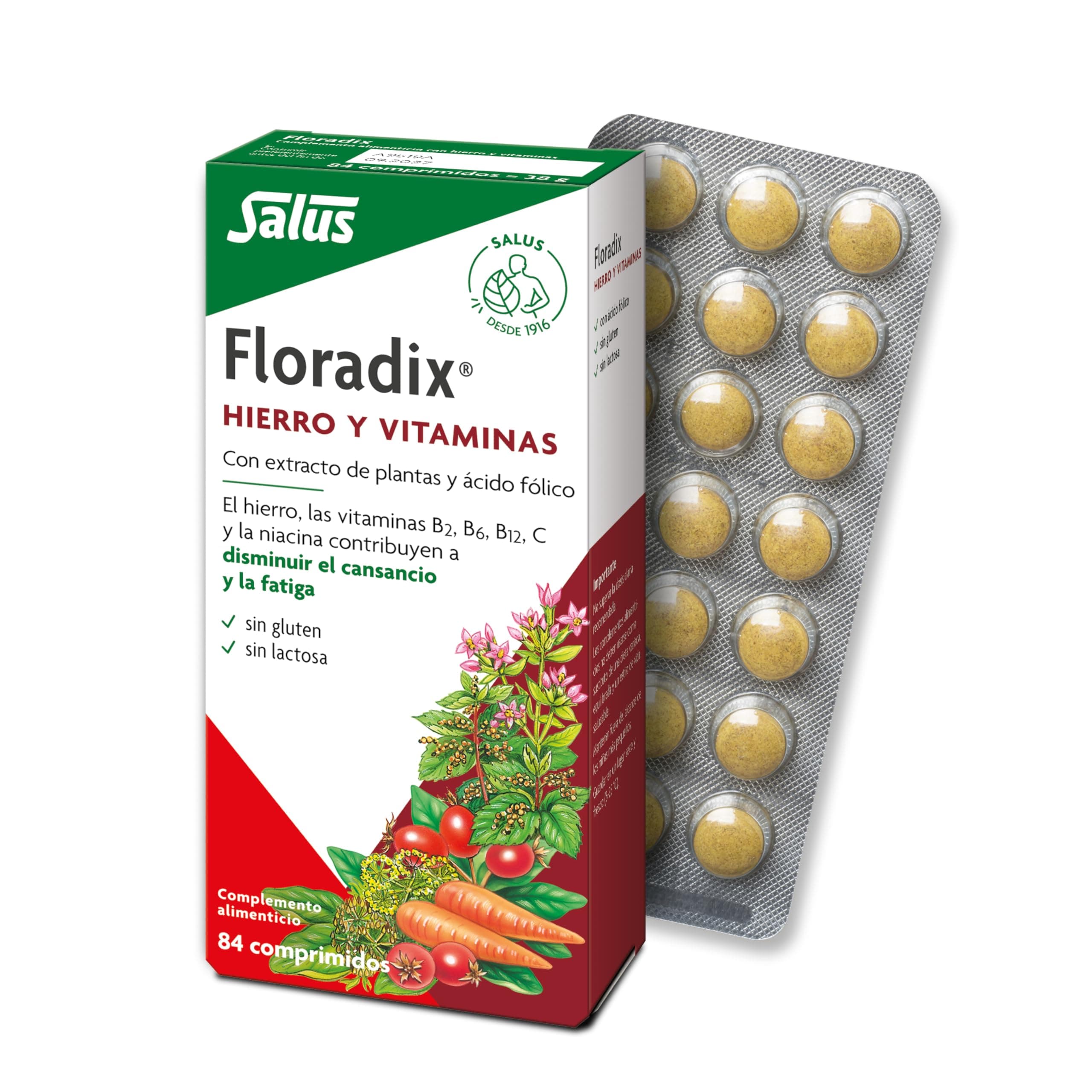 Floradix Iron 84 Tabs