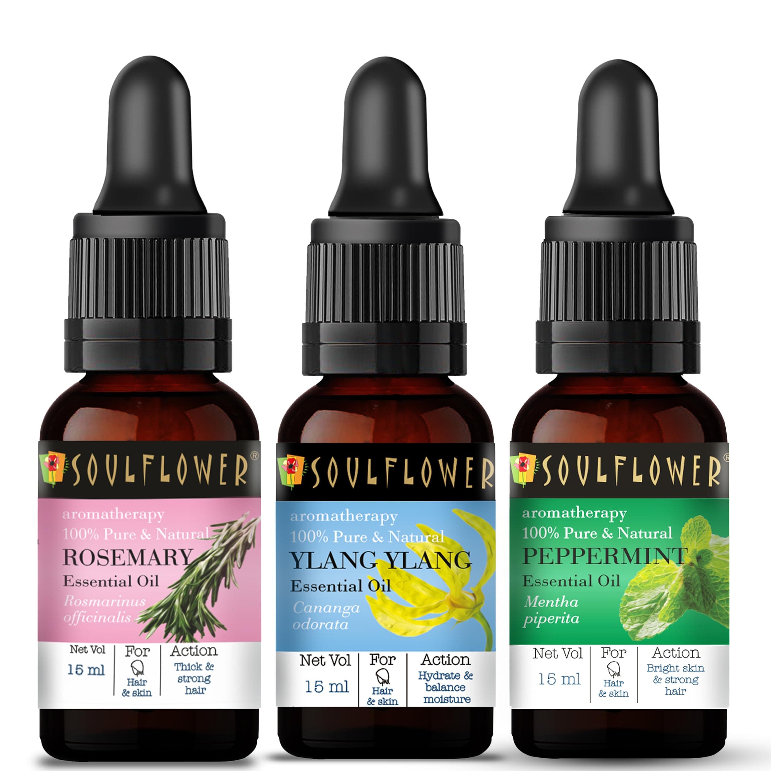 Soulflower Essential Oil Rosemary, Ylang Ylang & Peppermint for Moisturizing Hair & Skin, Acne, Dandruff - 100% Pure, Natural & Undiluted Essential Oil, (Pack of 3) 15ml Each