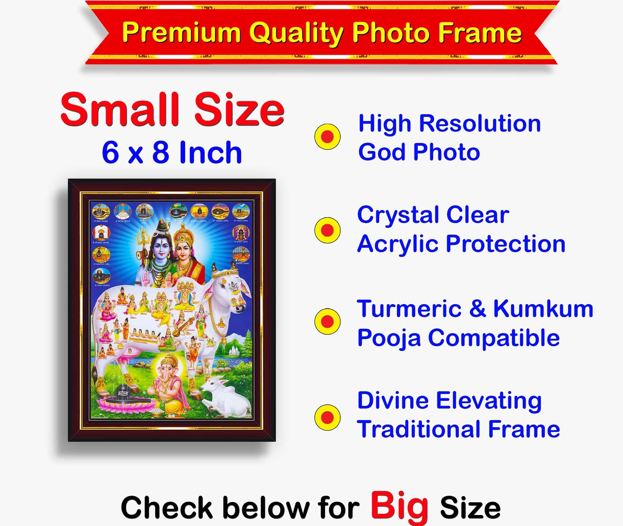 Pavan Photo Laminations Wall Painting PT850v01