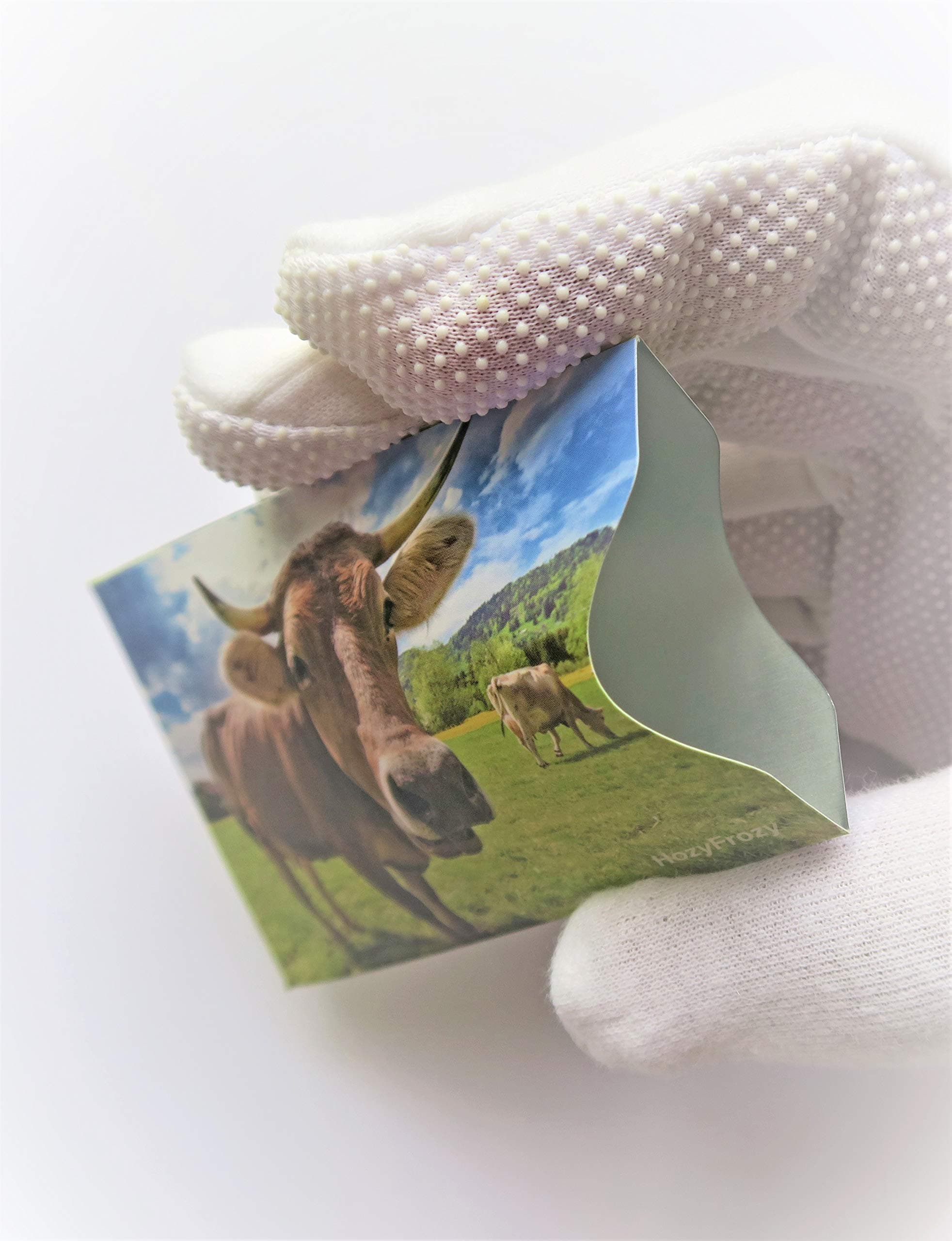 8 RFID Blocking Sleeves, Credit Card Protector, Anti Theft Credit Card Holder, with Horse, Elephant, Monkey, Dolphin, Buffalo, Peacock, Red Panda and Raccoon Prints