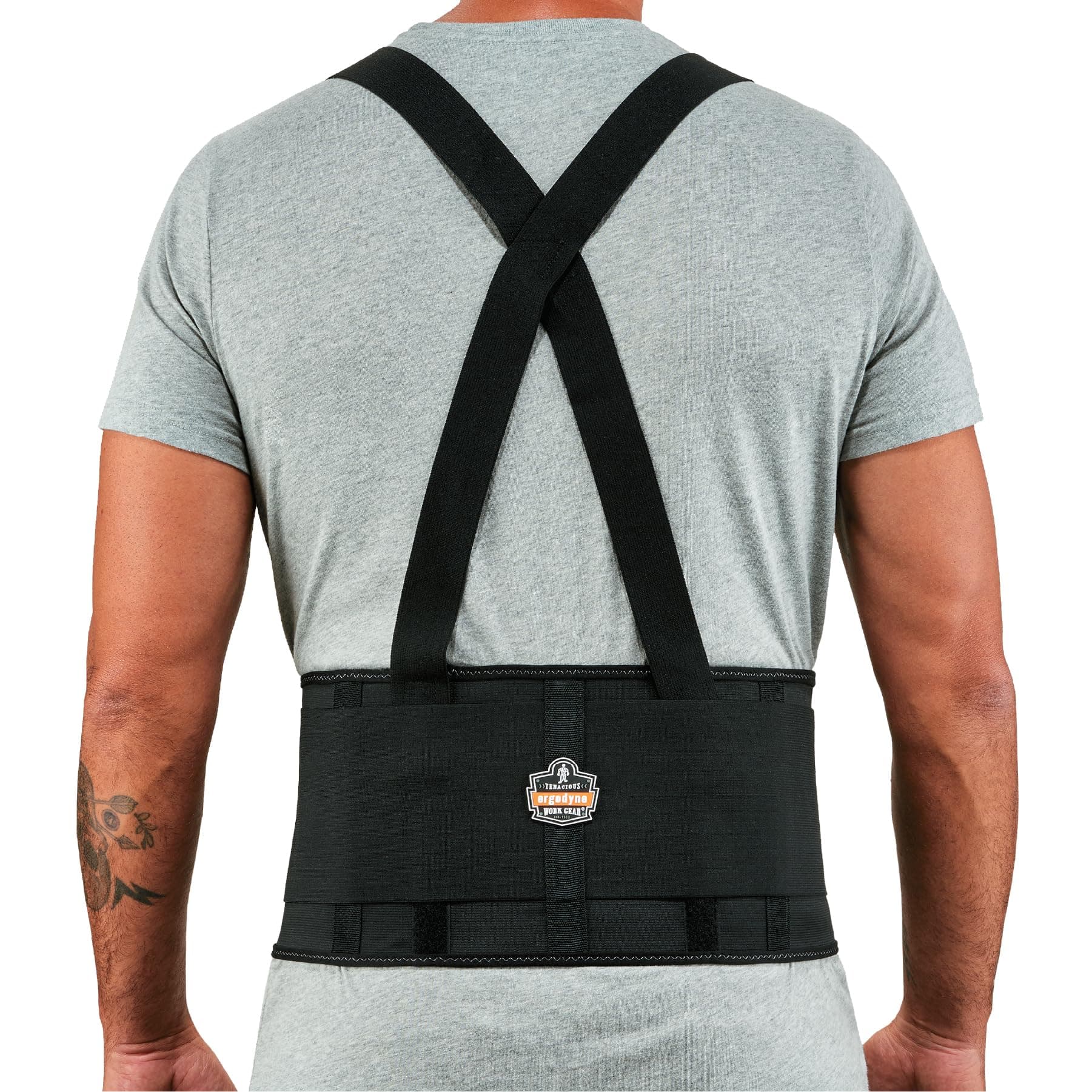 Ergodyne 1650 Economy Elastic Back Support in Black Size