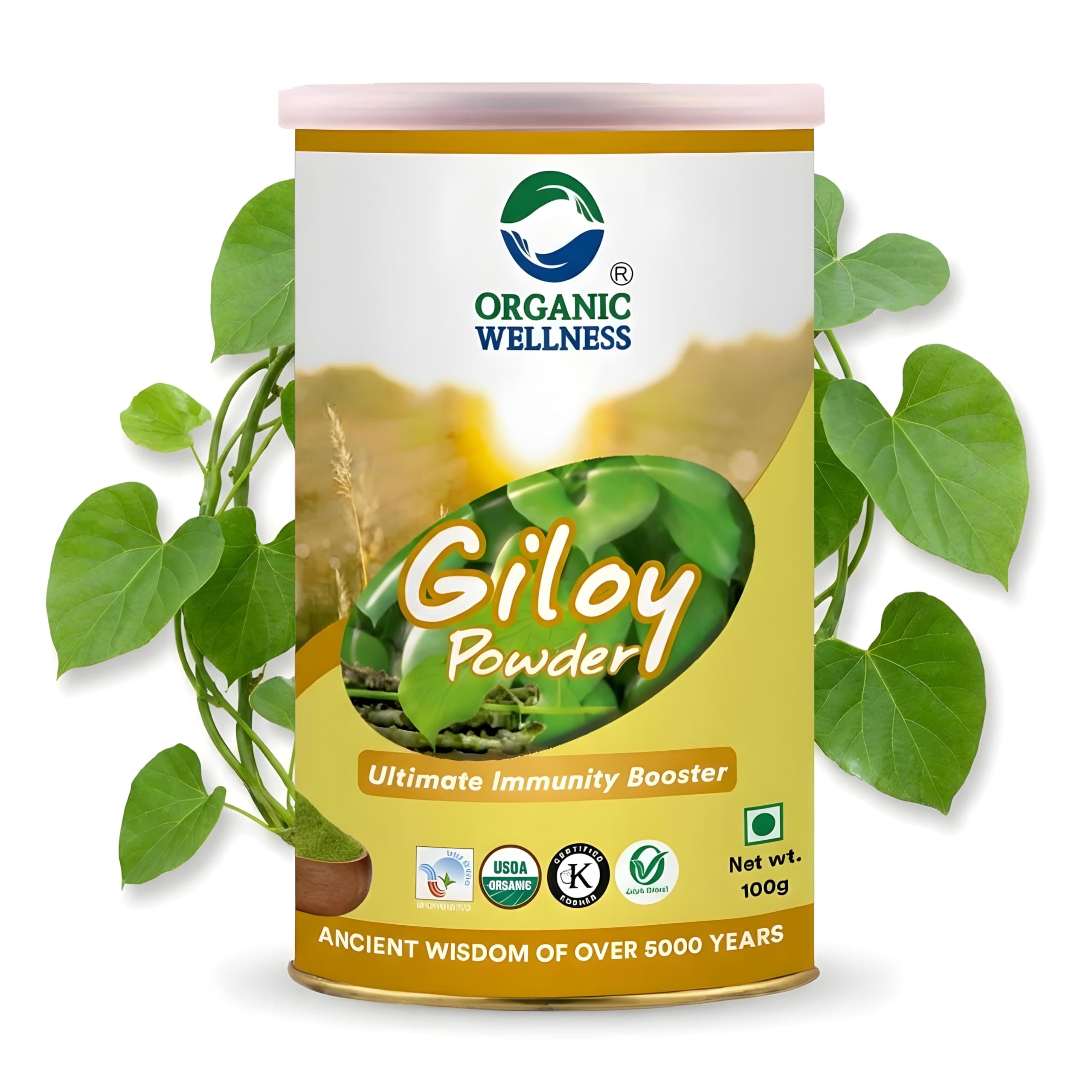 Organic Wellness Giloy Powder 100 Gram Pack Guduchi Churna - Helps to Boost Immunity