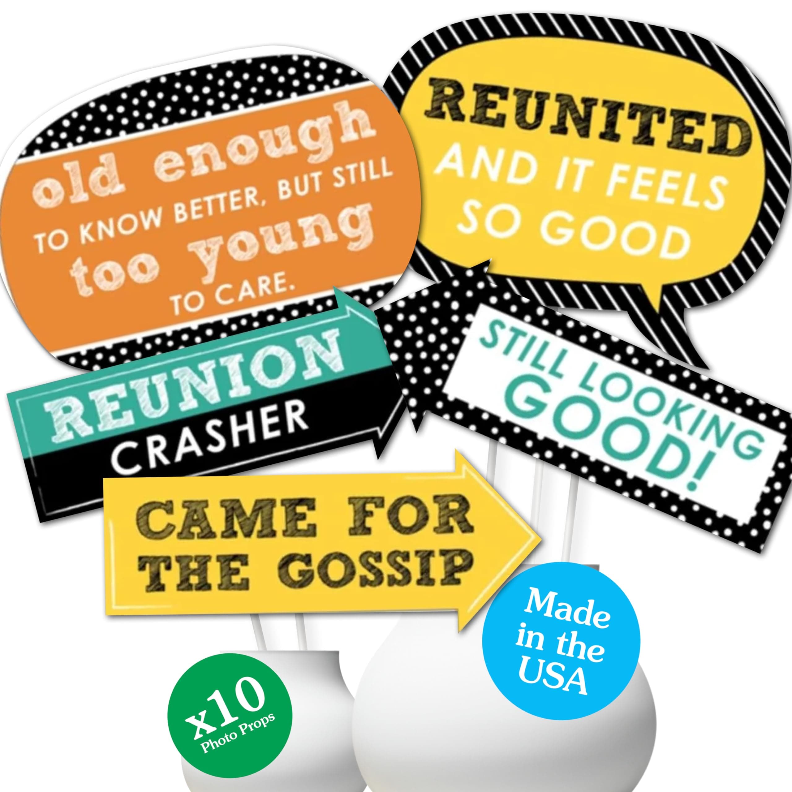 Big Dot of Happiness Funny Class Reunion - Photo Booth Props Kit - 10 Piece