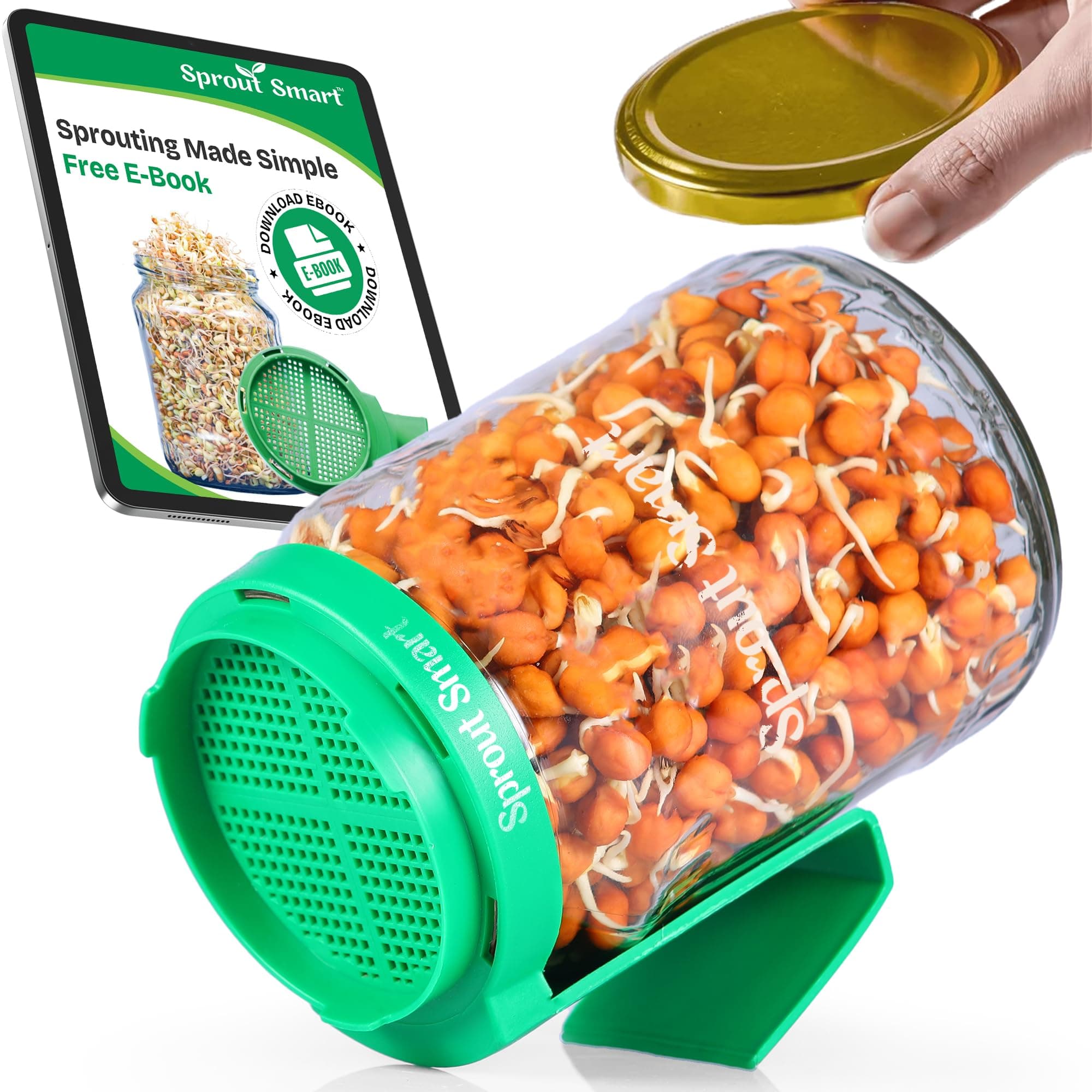 Sprouts Maker Glass Jar – 720ml Durable & Reusable Sprouter for All Seeds and Beans, BPA-Free with 300-Hole Mesh Lid for Airflow, Odor-Free, Easy Drainage, and Hygienic Glass Design – Green