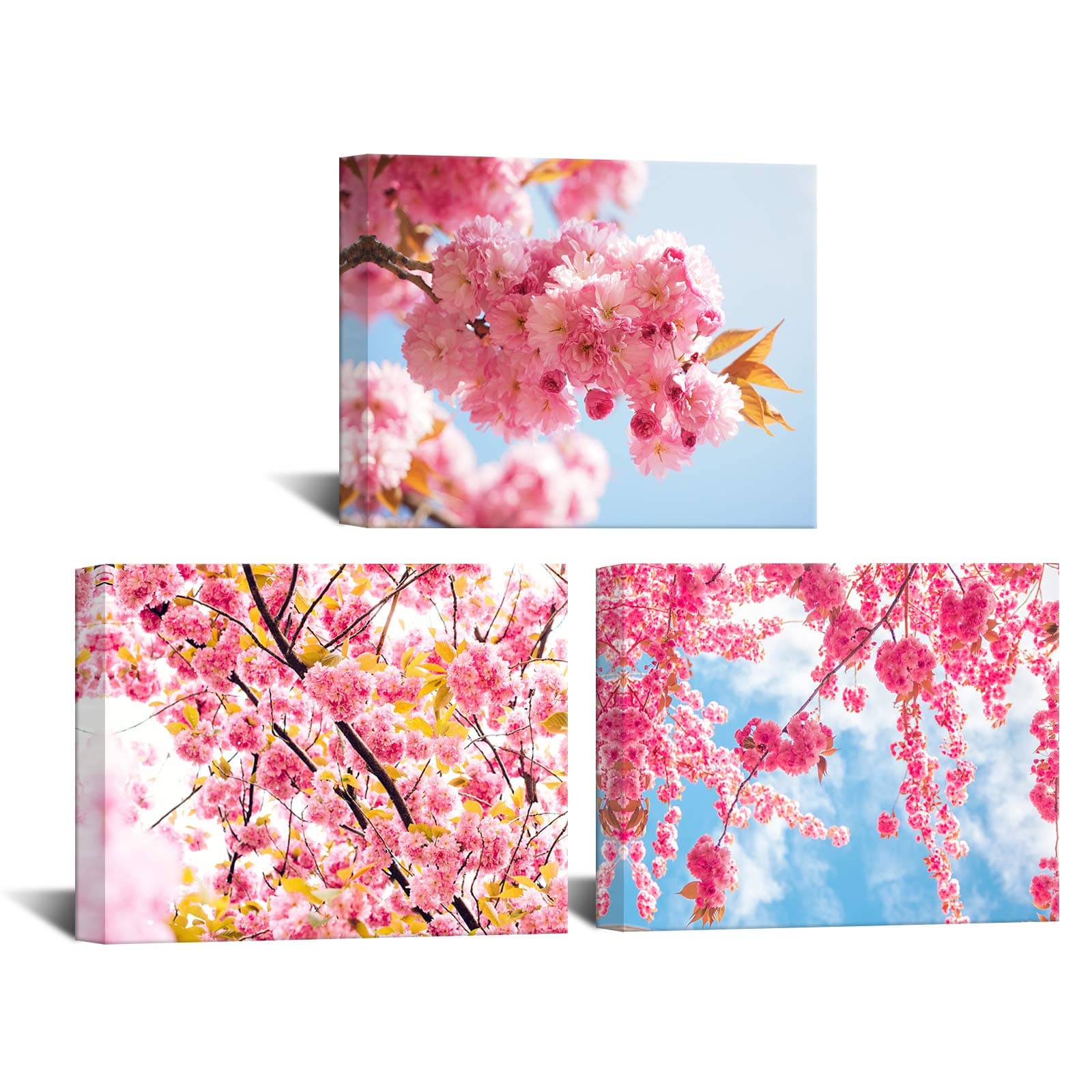 iKNOW FOTO 3 Pieces Flower Canvas Wall Art Cherry Sakura Blossom in Spring Picture Print Modern Home Decor Elegant Flowers Artwork Abstract Floral Paintings on Canvas for Bedroom Girls Room Decor