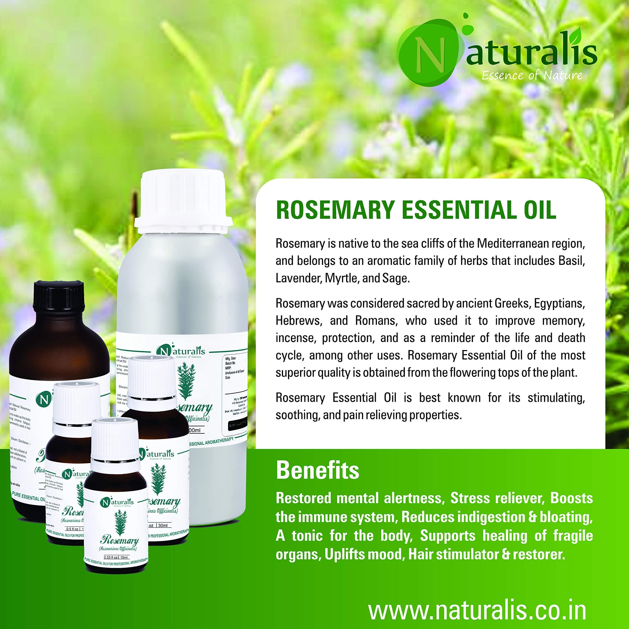 Naturalis Essence of Nature Rosemary Essential Oil for Skin, Muscle & Joints, Anti-Dandruff, Hair Conditioner, Pure & Natural Therapeutic Grade - 30ml